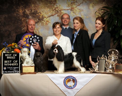 Orchardhill Charismatic